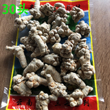 500g Premium Chinese Herb, Panax notoginseng ginseng root