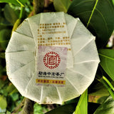 Chinese Famous Pu Erh Tea Cake Golden Bud Round Tea 80G Aged Ripe Puer Tea Cake