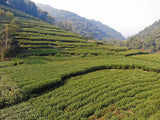 2023 New Tea Longjing Crushed Tea Loose Tea Pieces Green Tea Crushed 500g/1.1lb