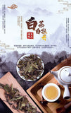 Alpine white tea Fuding white tea gongmei 5g a bubble old white tea cake 500g