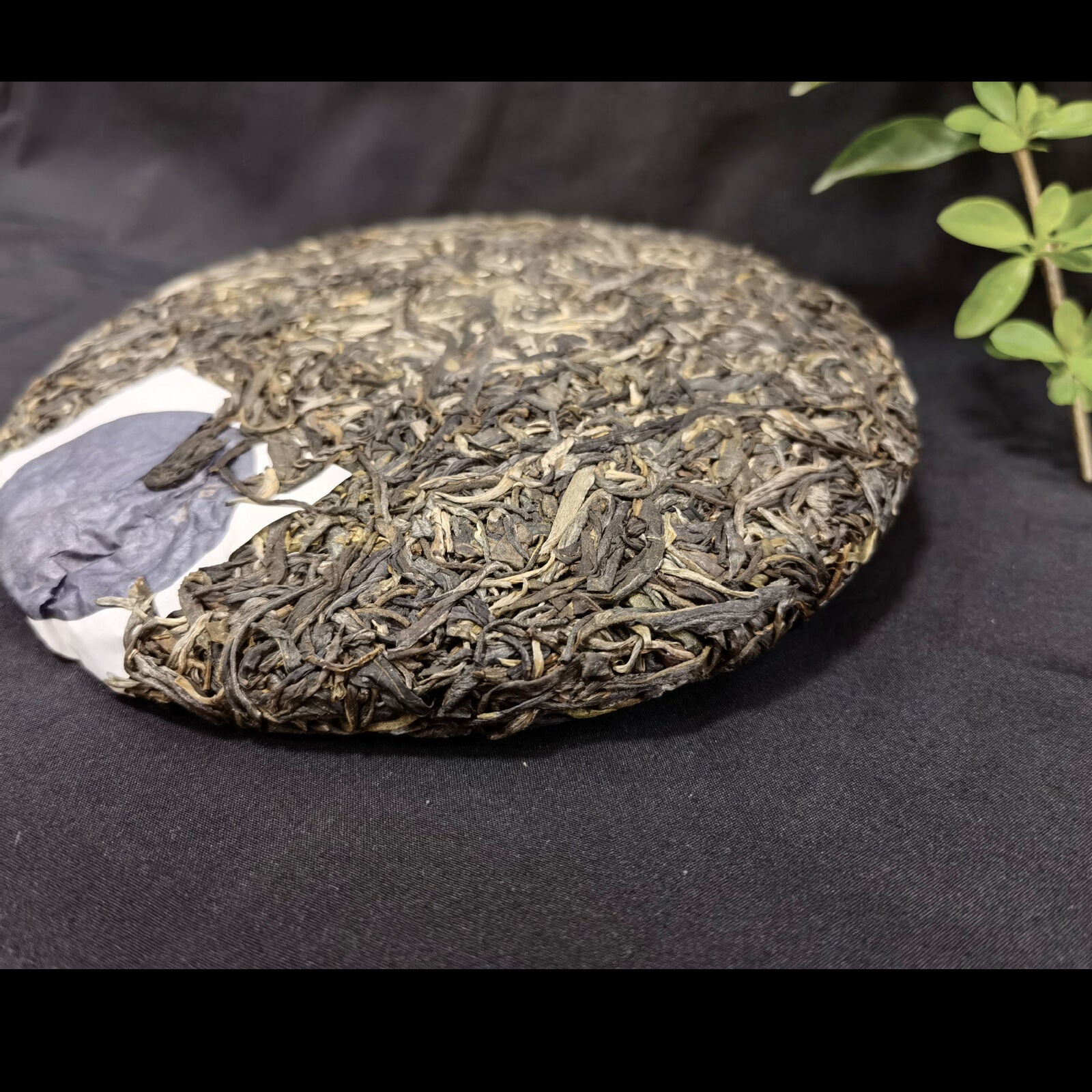Brown Mountain Banzhang Ancient Tree Pressed Pu'er Tea 357g Pu'er Raw Tea Cake