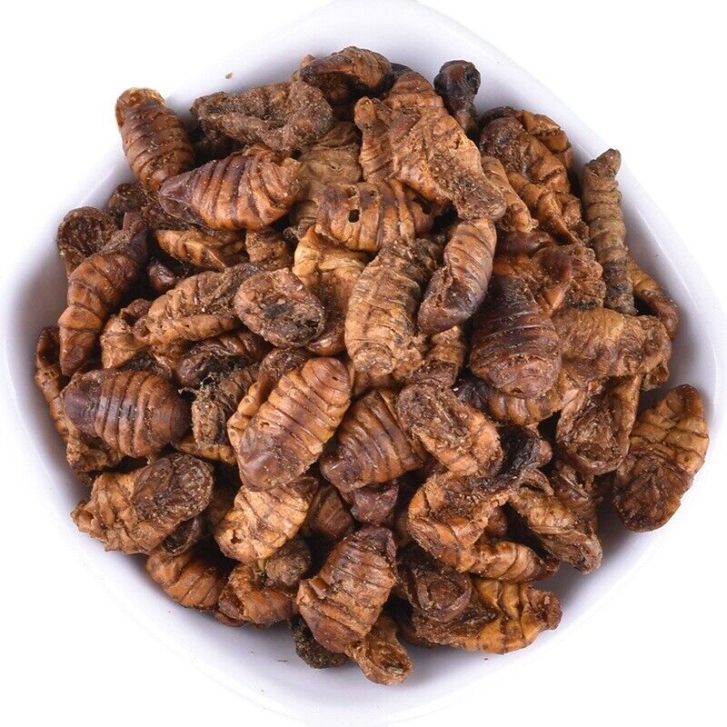 Dried Cicada Chrysalis Dried Silkworm Chrysalis Chinese Herbs 500g/1.1lb