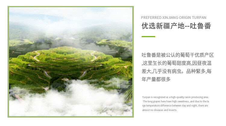 500g Turpan Raisins New Product Green Raisins Large Granule Special Product