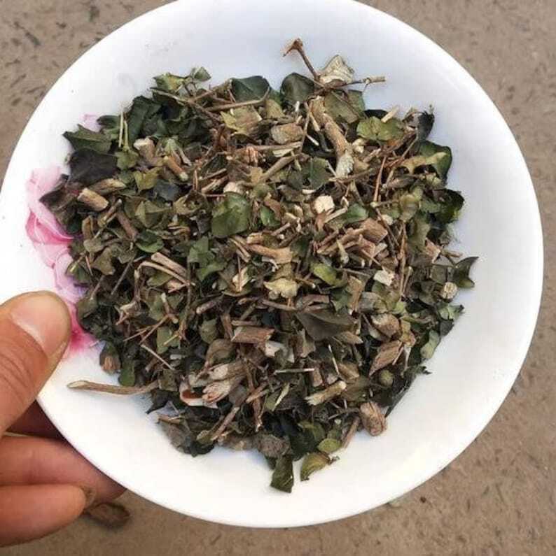 Organic Dried Herba Tea Damnacanthus Indicus Gaertn, Xiu Hua Zhen