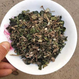 Organic Dried Herba Tea Damnacanthus Indicus Gaertn, Xiu Hua Zhen