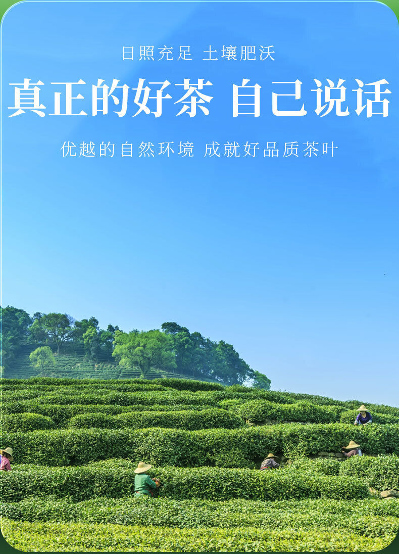 Huangshan Maofeng Green Tea New Bagged Home Bubble-resistant Fragrant Tea 30G