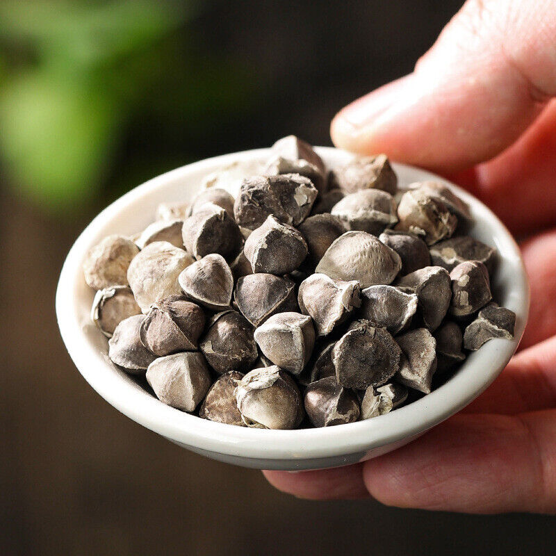 100g Canned Moringa Seeds Selected Large Particle Edible Moringa Seeds Secondary image