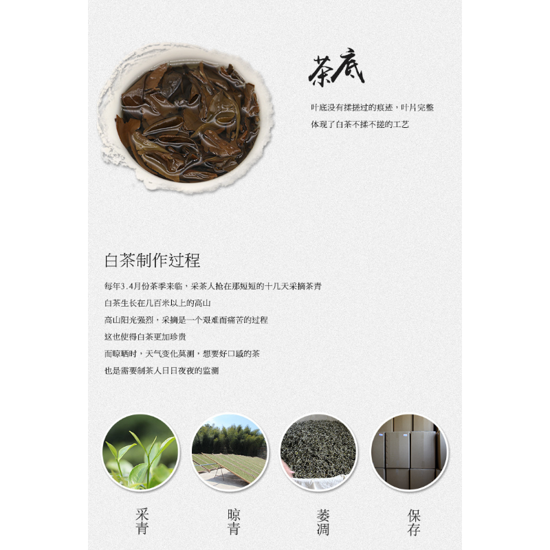 Spring Tribute Eyebrow Gold Brick Fuding White Tea Taimushan Old White Tea 500g