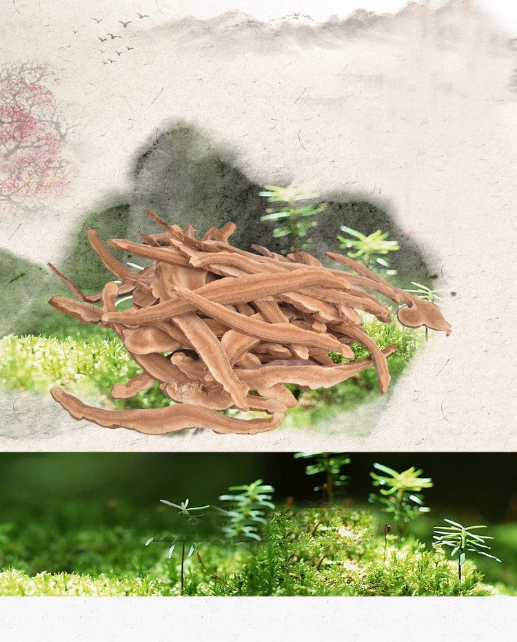 Wild Reishi Mushroom Slices 250g Ganoderma Lucidum Premium Health Herbal Tea