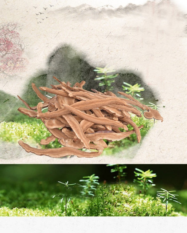 Wild Reishi Mushroom Slices 250g Ganoderma Lucidum Premium Health Herbal Tea