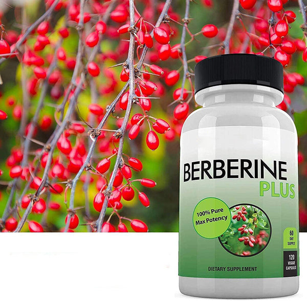 Berberine Plus 1200mg Per Serving - 120 Veggie Capsules Royal Jelly, Supports