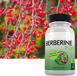 Berberine Plus 1200mg Per Serving - 120 Veggie Capsules Royal Jelly, Supports