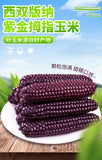 Purple Glutinous Corn Gift Box – Yunnan Specialty Sweet & Soft Corn