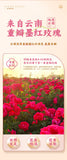 Yunnan Rose Flower Cake – Fresh Rose Pastry Gift Box, Snack Dessert