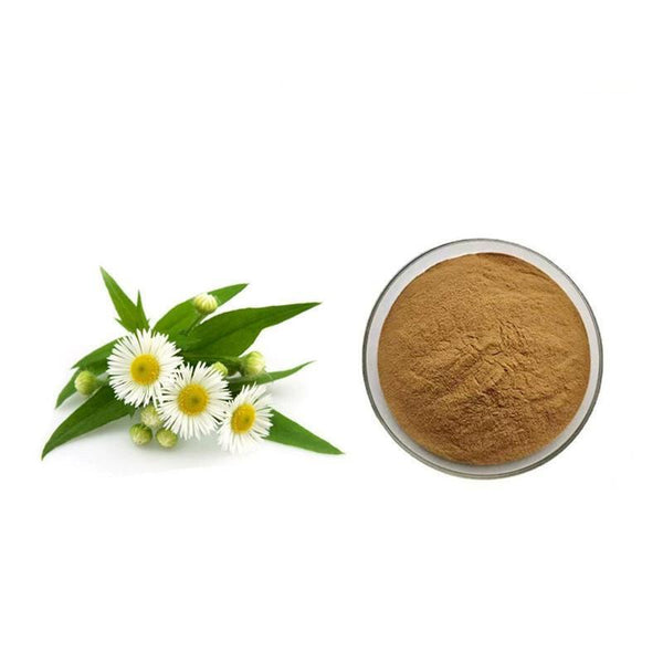 500g Organic Chamomile Extract Powder (20:1) - Premium Herbal Supplement
