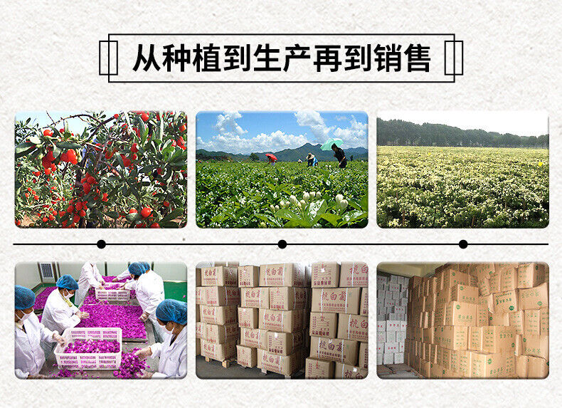 Yunnan Snow Swallow Natural Tragacanth Gum Xueyan 500g