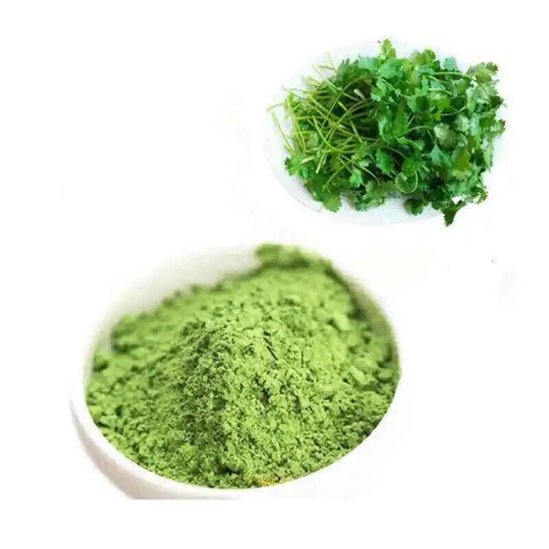 Premium Cilantra Leaf Powder, Coriander Leaf Powder -Fresh Green,100% Pure Secondary image