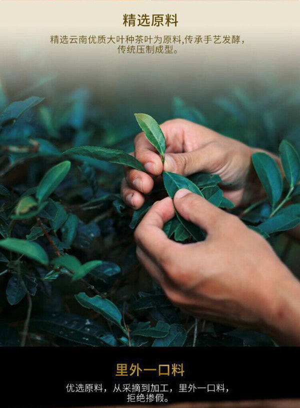 Yunnan Puerh Tea Raw Tea Tuo Tea Menghai Ancient Tree Raw Material 500g/1.1lb