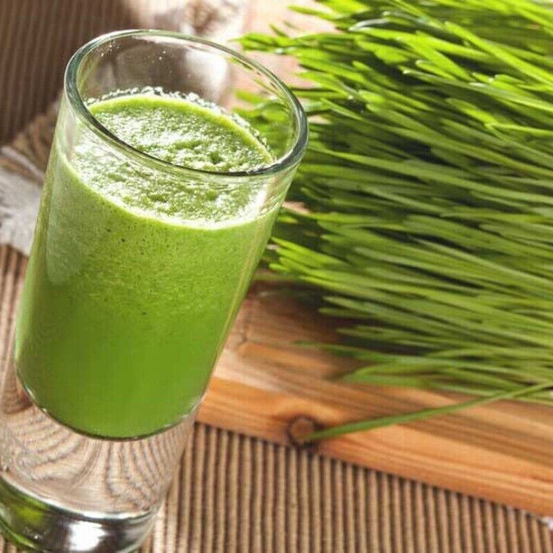 Barley Grass Powder 250g ORGANIC | PREMIUM | FREE Shipping | Detox + Wellness Secondary image