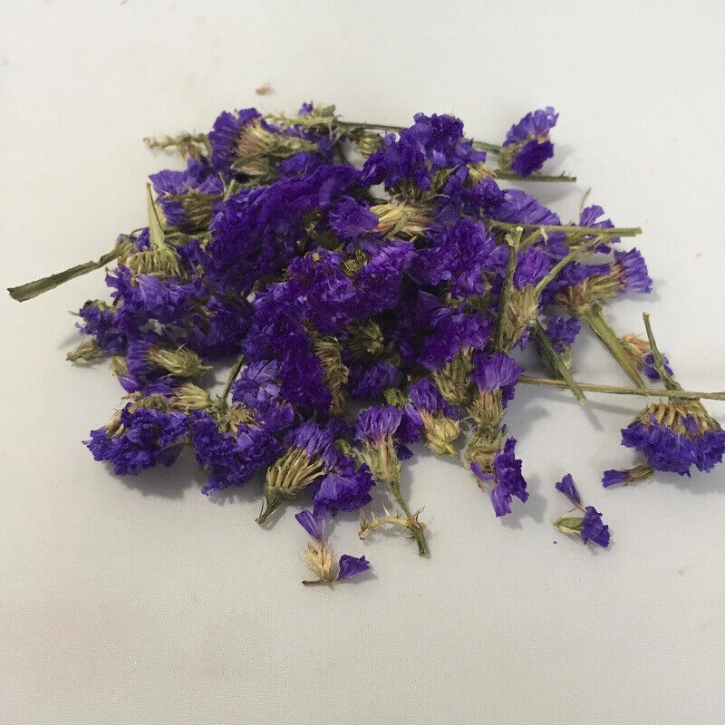 Wu Wang Wo Chinese Herbal Flower Tea Myosotis Sylvatica 150g