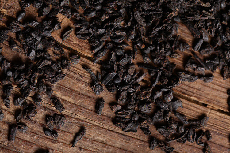 Glutinous Rice Fragrance Crushed Silver Tea Fossil Yunnan Pu'er Ripe Tea 500g