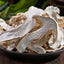 Yunnan Snow Mountain Matsutake Slices - Dried Wild Mushrooms, Bulk
