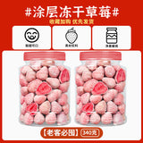 Yogurt Bites Fruit Snack 170g Can Freeze-Dried Strawberry with Chocolate