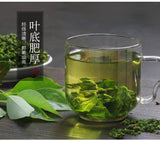 500g Mulberry Leaf Tea Fresh Frosted Dried Mulberry Leaf Authentic Mulberry Tea