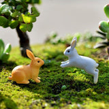 Moss Micro Landscape Deco Garden Mini 3pcs Rabbit Bottle Decoration Supplies