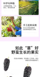 200g Dried Black Mulberries No Sand Premium Grade Sweet and Fragrant