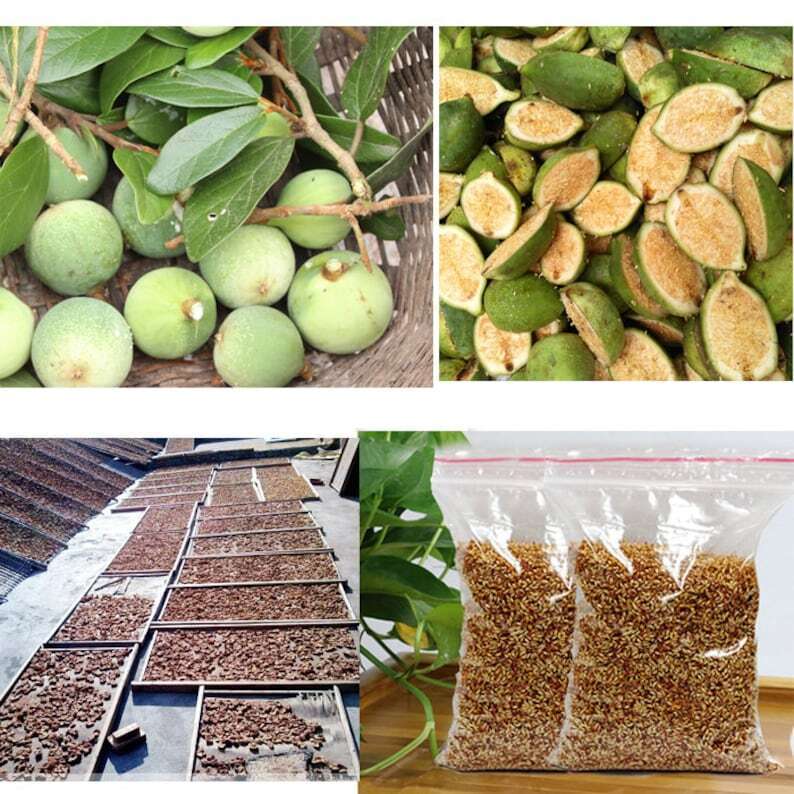 Nature Wild Aiyu Jelly Seed 愛玉子 Ai Yu Jelly
