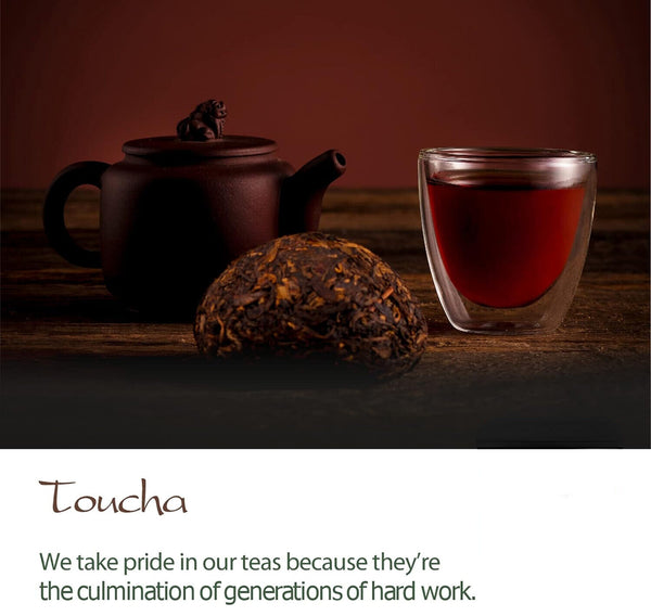 Toucha Pu-erh Tea Yunnan China - TOU Cha Bird Nest Pressed Chinese Puer Tea 100g