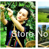 357g Organic Cooked Craft Pu-Erh Tea Cake Yunnan Natural Ancient Trees Black Tea