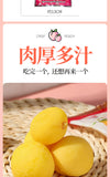 Childhood Favorite Retro Treat Crispy Dried Yellow Peach Snack Sweet & Sour