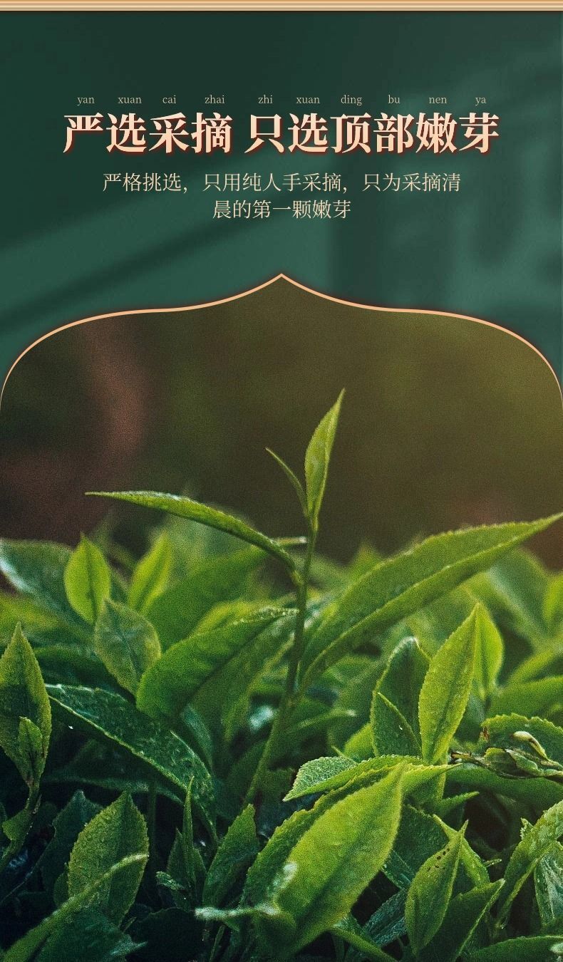 Wuyi Da Hong Pao Oolong Tea Rich Aroma Floral Fujian New Loose Leaf
