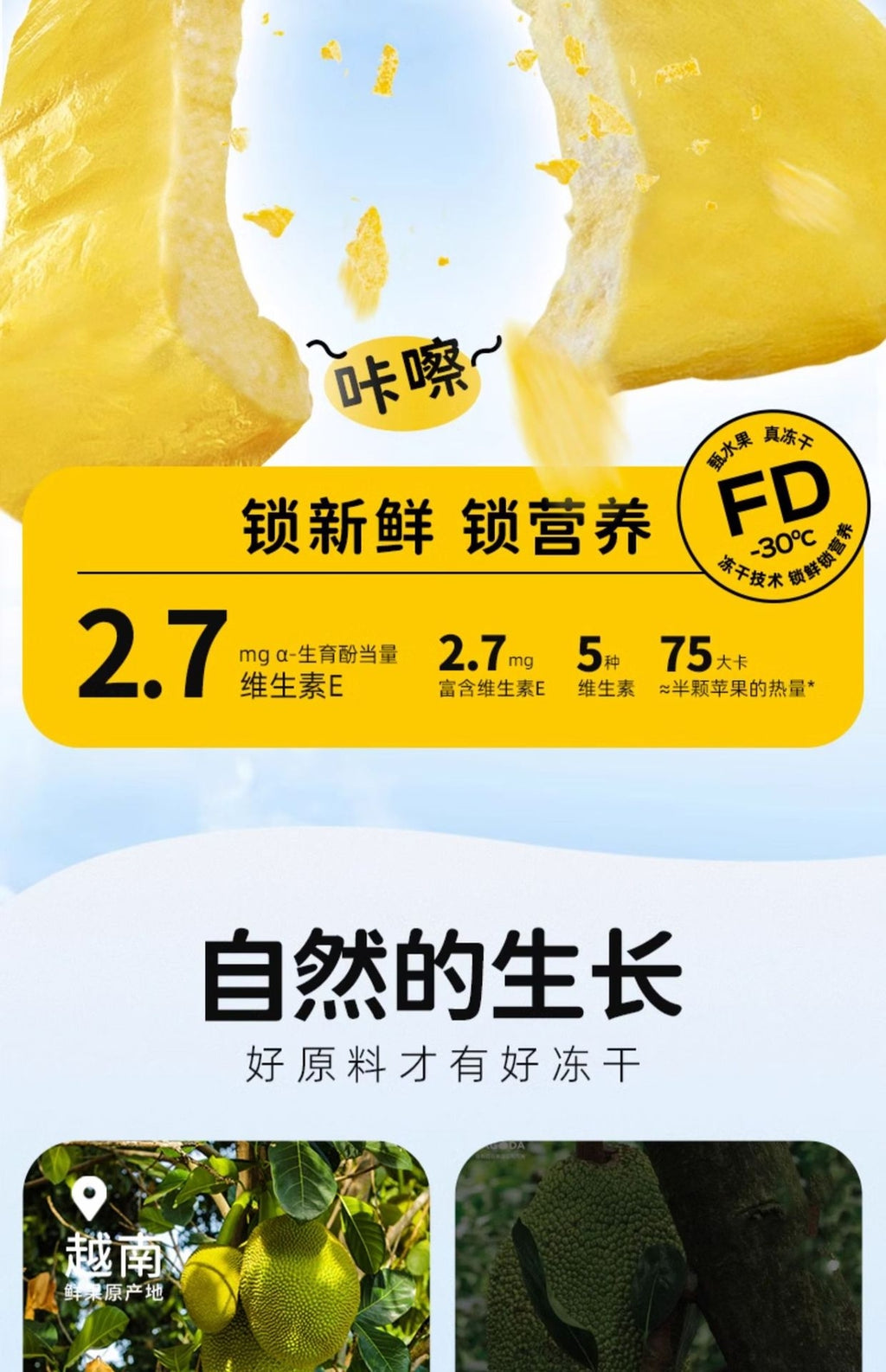Jackfruit Dried Fruit Freeze-dried Jackfruit Casual Snacks  20G