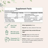 Multi Collagen Protein Powder-2 lb Hydrolyzed Peptides I,II,III,V,X