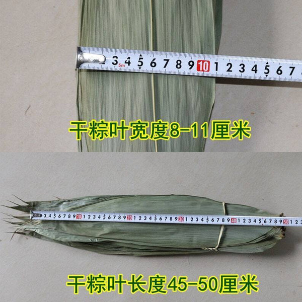 Dried Bamboo Leaves for Zongzi Sticky Rice Dumpling 粽子 100 Leaves