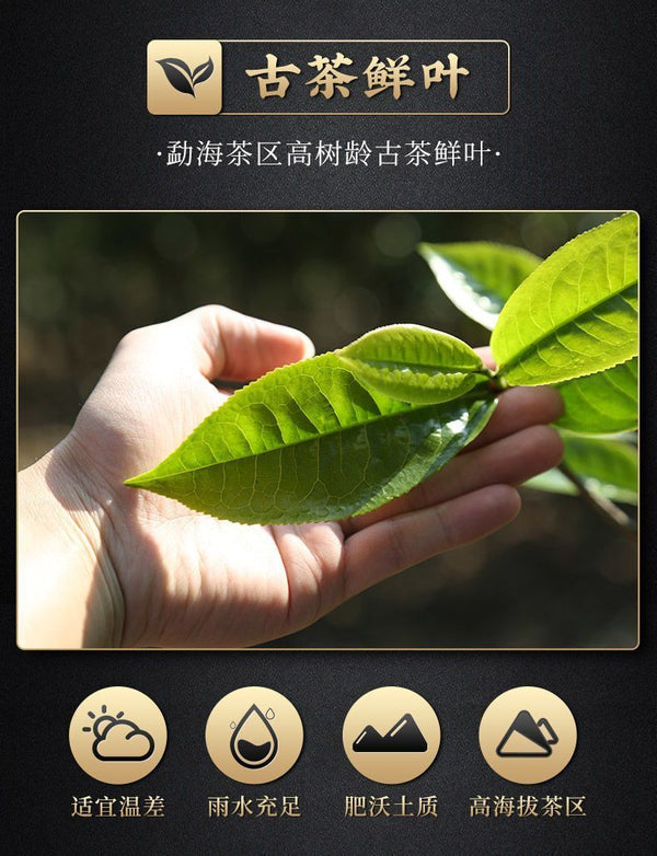 Pu'er Tea Cooked Tea Brick Small Gold Brick Tea Yunnan Menghai Mini Tuo Tea 500g