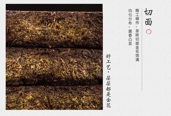 1kg Anhua black tea Jinhua handmade Fu brick tea Tianjian raw material black tea