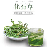 Orthosiphon Aristatus Golden Grass Tea 50g Canned - Kidney Health Herbal Tea