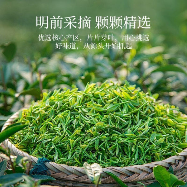 Top Grade 2025 Longjing Green Tea High Mountain Rich Bean Aroma
