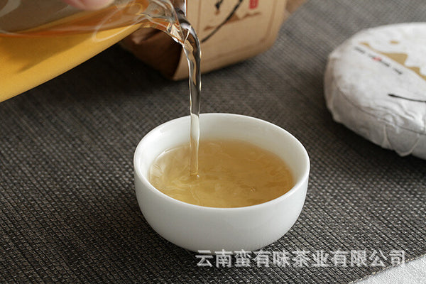 Yunnan Puerh Tea 100g Pasha Small Cake 2021 Big Tree Tea Puerh Raw Cake