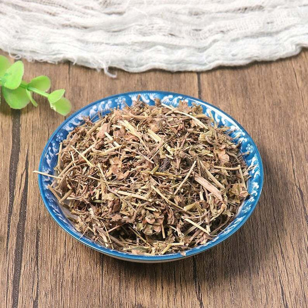 Organic Herbal Veronica Peregrina Great Quality