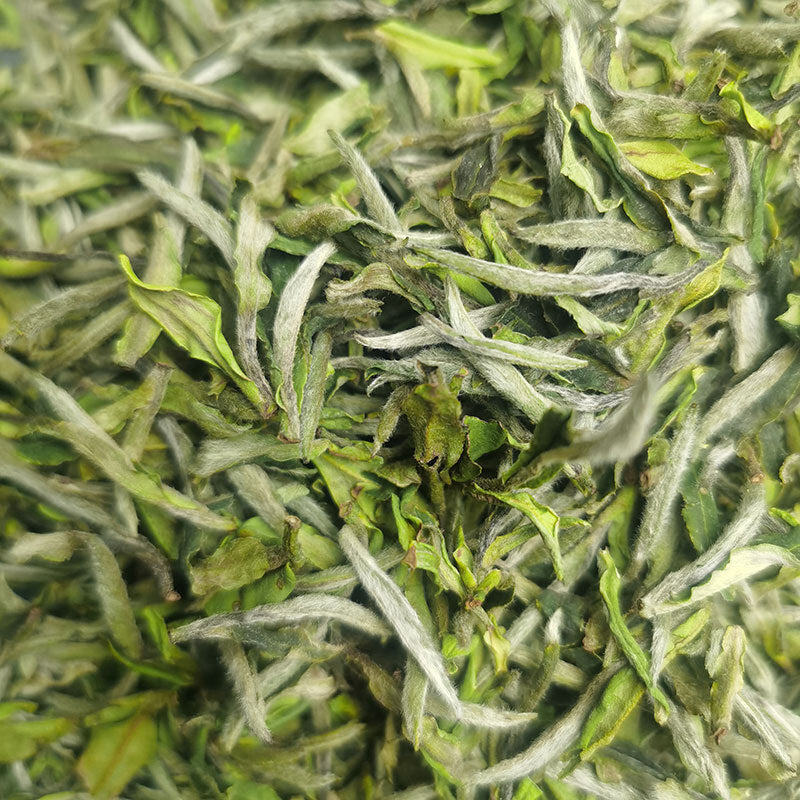 Supreme Fat Burner Chinese green white tea healthy tea sencha green tea