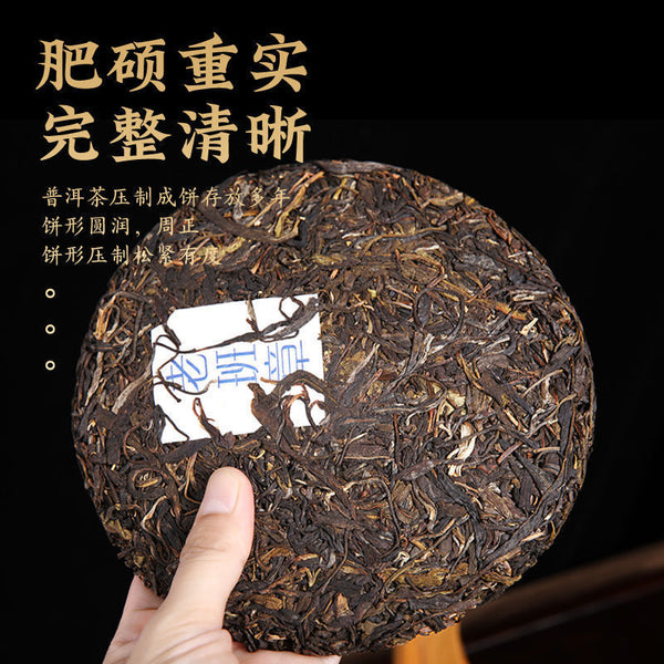Yunnan Puerh Tea Raw Tea Old Banzhang Ancient Tree Puerh Raw Tea 357g