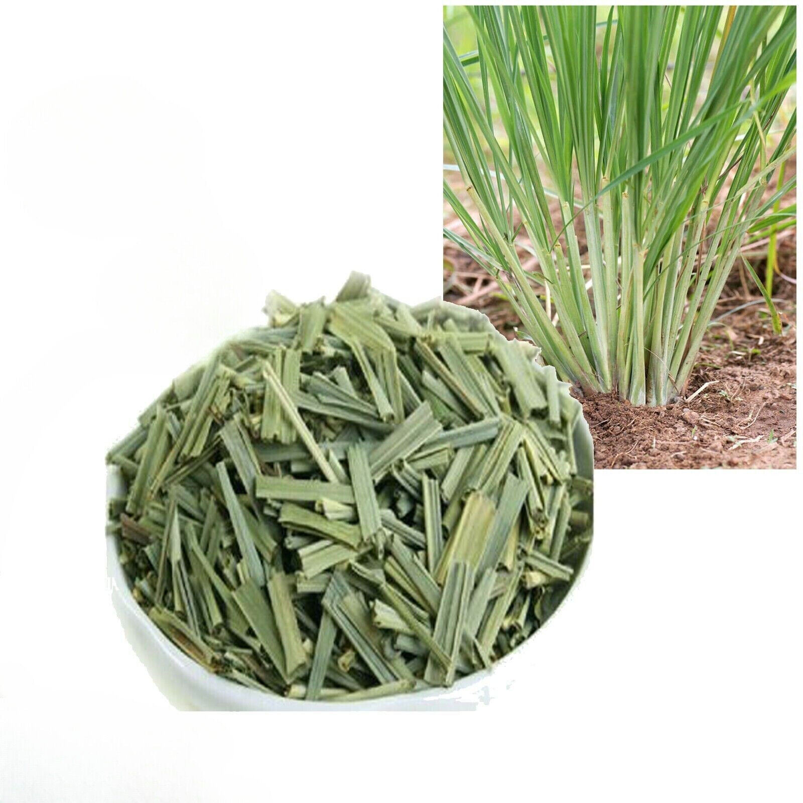 Dried organic Lemongrass leaf slices(2-3cm cut) For Enhance Flavor pure Natural Main image
