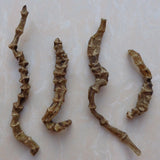 Herbal Medicine Ground Ginseng Cordyceps Ginseng Cordyceps Ginseng Male 500g