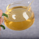 Spring Tea Health  Tea Yunnan Tea Puerh Tea Organic Pu'er