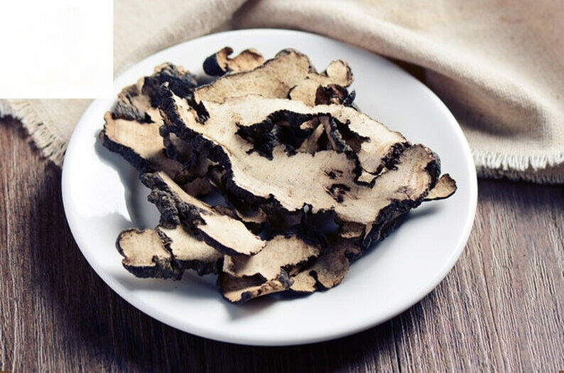 Zhu Ling/猪苓/Trametes Gibbosa/Polyporus umbellatus Secondary image